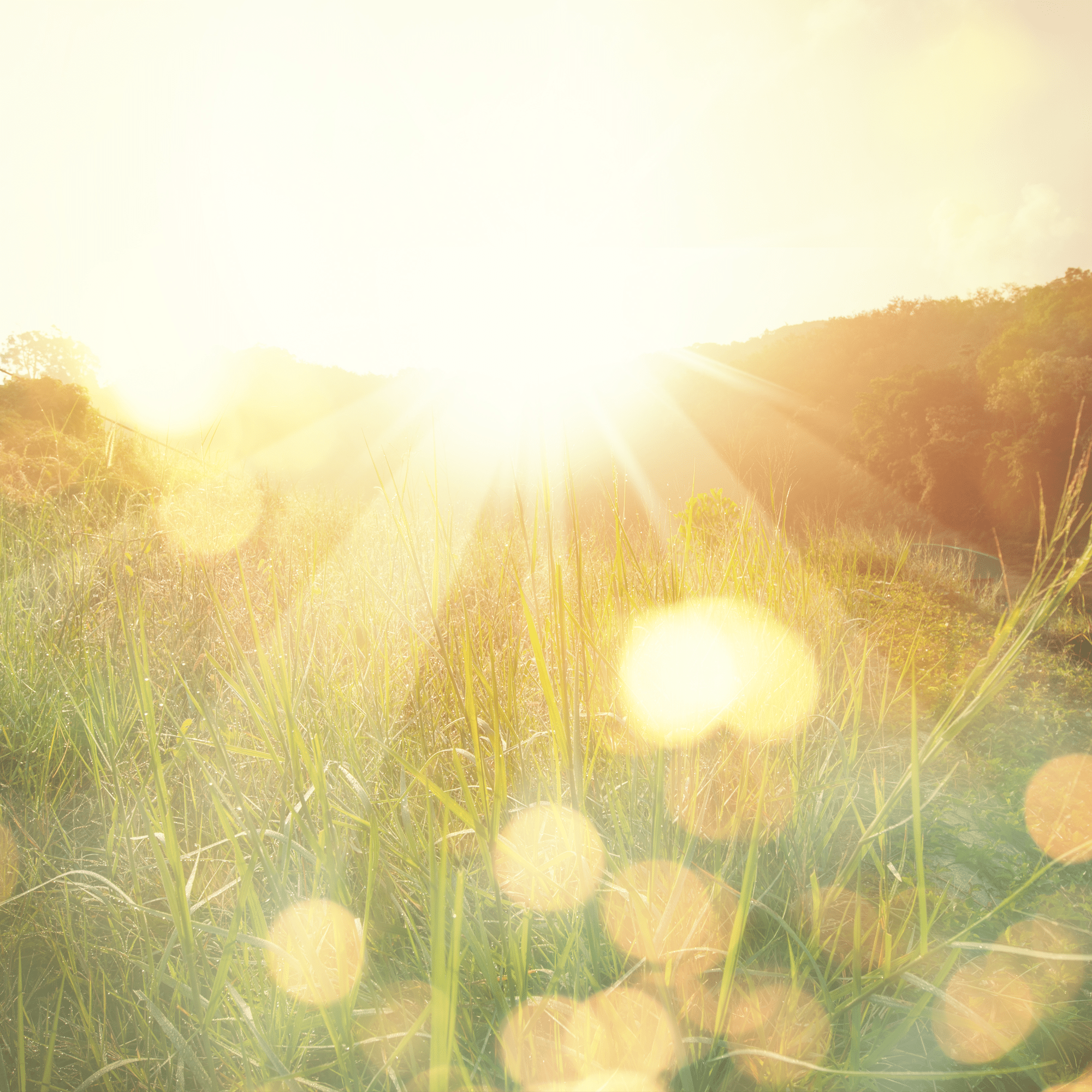 theme_smalllight