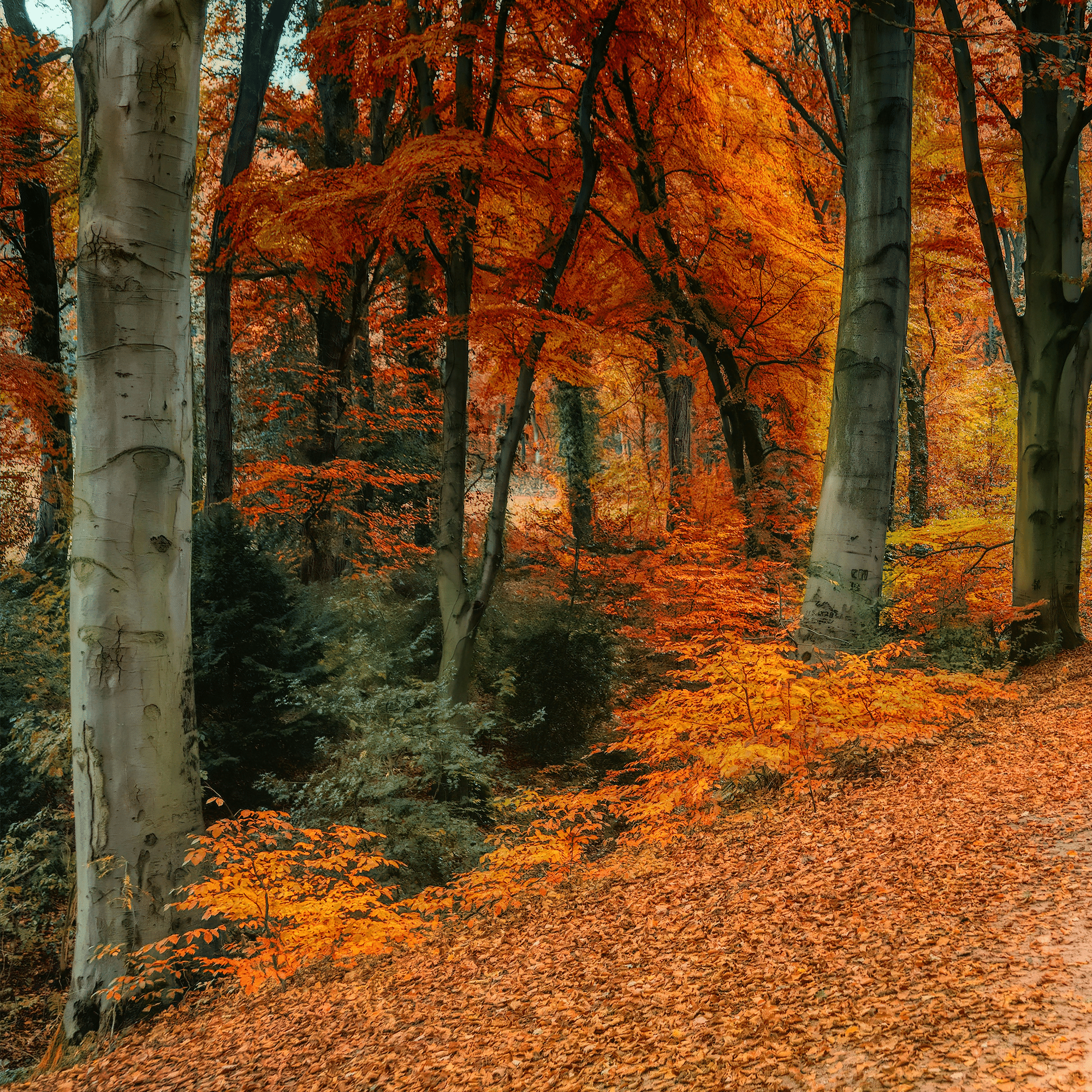 theme4_fall2025